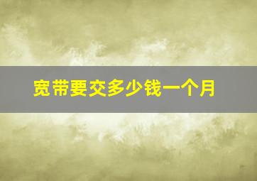 宽带要交多少钱一个月