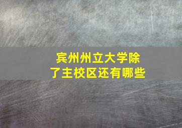 宾州州立大学除了主校区还有哪些