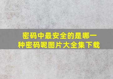 密码中最安全的是哪一种密码呢图片大全集下载