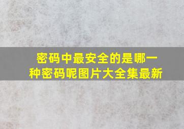 密码中最安全的是哪一种密码呢图片大全集最新