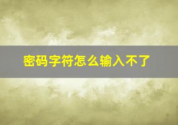 密码字符怎么输入不了