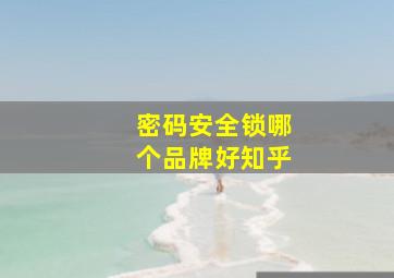 密码安全锁哪个品牌好知乎