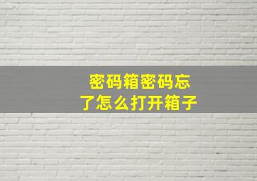 密码箱密码忘了怎么打开箱子