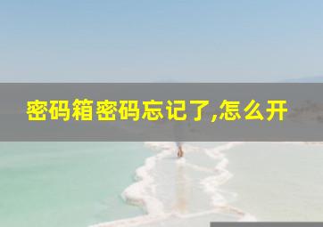 密码箱密码忘记了,怎么开