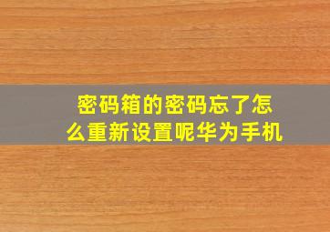 密码箱的密码忘了怎么重新设置呢华为手机