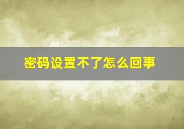 密码设置不了怎么回事