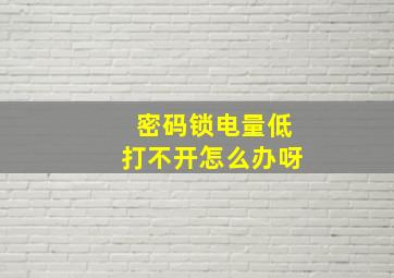 密码锁电量低打不开怎么办呀