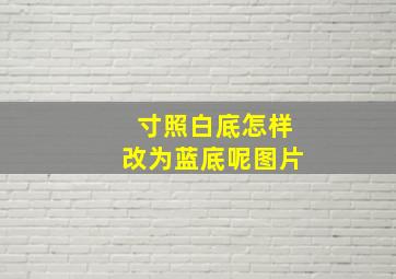 寸照白底怎样改为蓝底呢图片