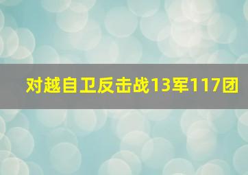 对越自卫反击战13军117团