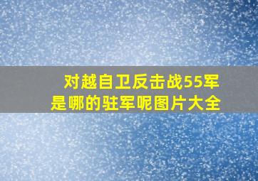 对越自卫反击战55军是哪的驻军呢图片大全