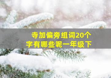 寺加偏旁组词20个字有哪些呢一年级下