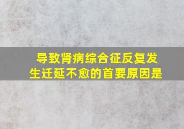 导致肾病综合征反复发生迁延不愈的首要原因是