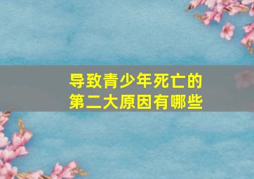 导致青少年死亡的第二大原因有哪些