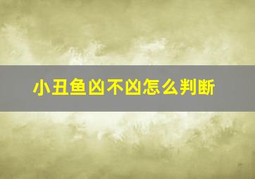 小丑鱼凶不凶怎么判断