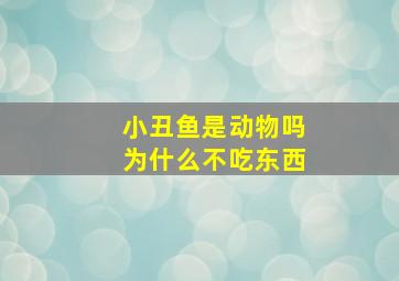 小丑鱼是动物吗为什么不吃东西