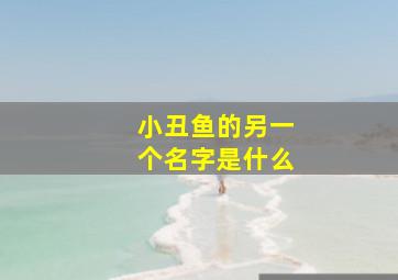 小丑鱼的另一个名字是什么