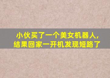 小伙买了一个美女机器人,结果回家一开机发现短路了