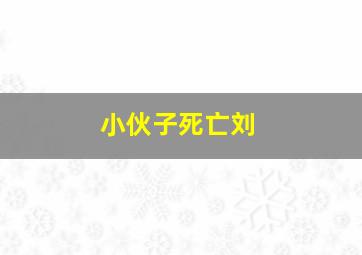 小伙子死亡刘