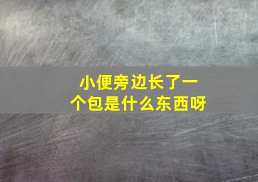 小便旁边长了一个包是什么东西呀