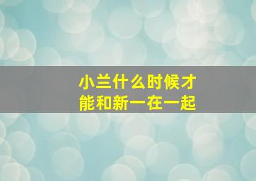 小兰什么时候才能和新一在一起