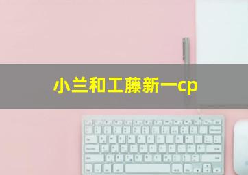 小兰和工藤新一cp