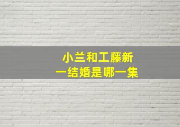 小兰和工藤新一结婚是哪一集