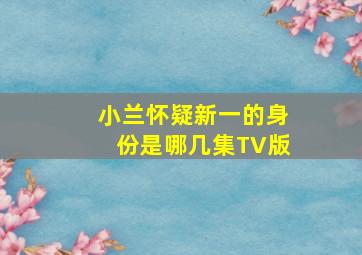 小兰怀疑新一的身份是哪几集TV版