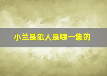 小兰是犯人是哪一集的