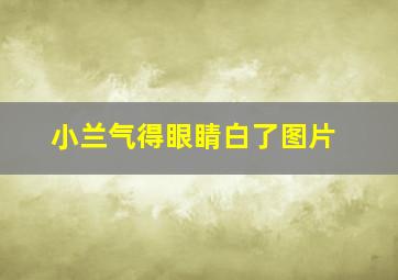 小兰气得眼睛白了图片