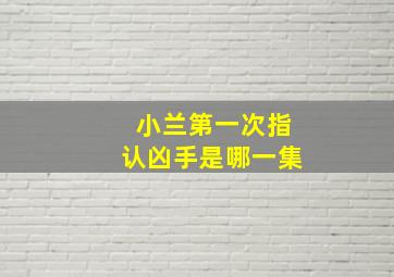 小兰第一次指认凶手是哪一集