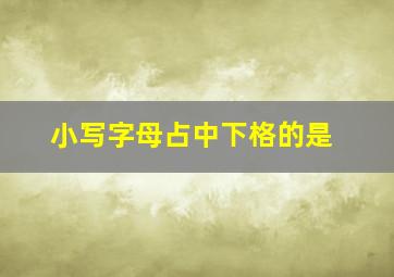 小写字母占中下格的是