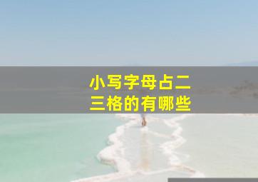 小写字母占二三格的有哪些