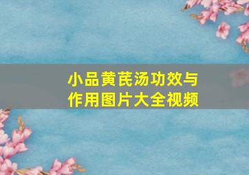 小品黄芪汤功效与作用图片大全视频