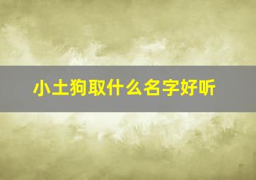 小土狗取什么名字好听