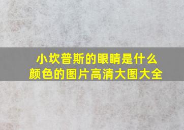 小坎普斯的眼睛是什么颜色的图片高清大图大全