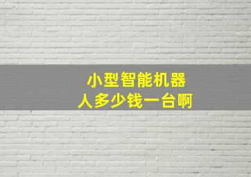 小型智能机器人多少钱一台啊