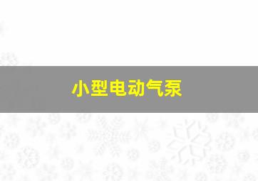 小型电动气泵