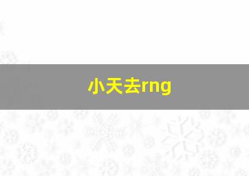 小天去rng