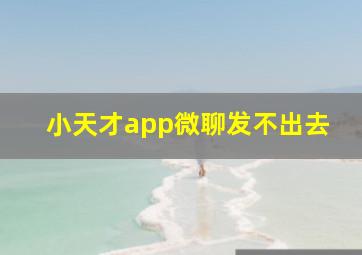 小天才app微聊发不出去