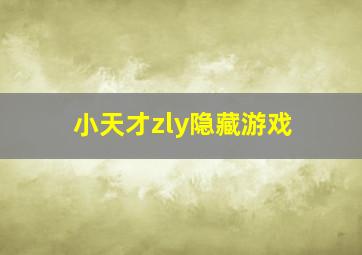 小天才zly隐藏游戏