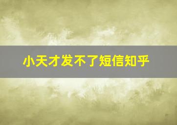 小天才发不了短信知乎