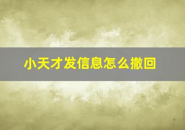 小天才发信息怎么撤回