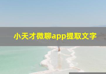 小天才微聊app提取文字