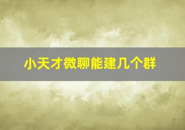 小天才微聊能建几个群