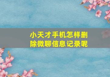 小天才手机怎样删除微聊信息记录呢