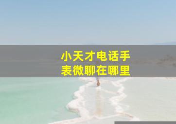 小天才电话手表微聊在哪里