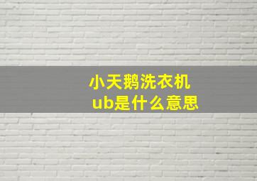 小天鹅洗衣机ub是什么意思