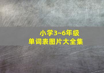 小学3~6年级单词表图片大全集