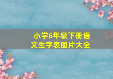 小学6年级下册语文生字表图片大全