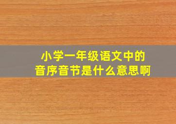 小学一年级语文中的音序音节是什么意思啊